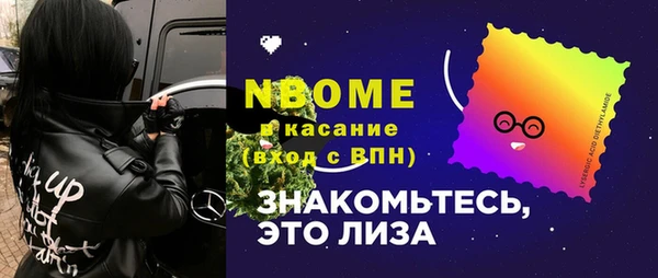 ALPHA PVP Каменка