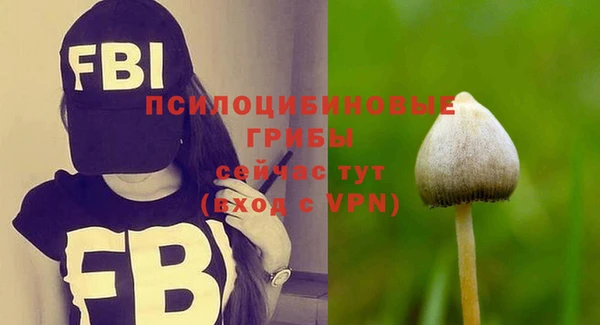 индика Карталы