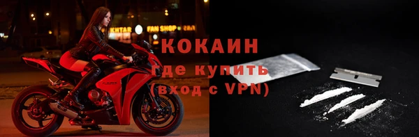 индика Карталы