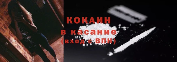 индика Карталы