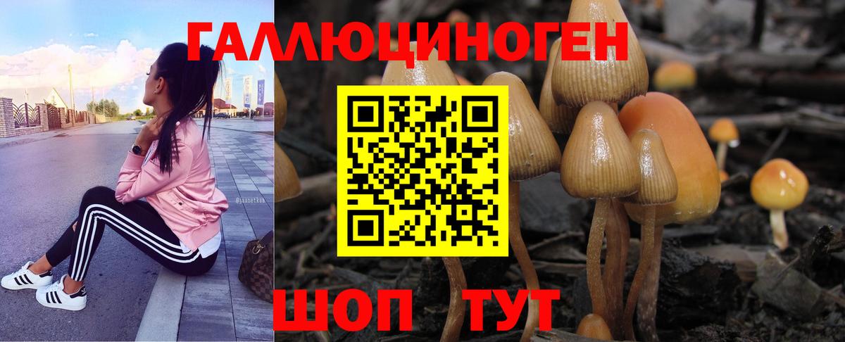 Псилоцибиновые грибы GOLDEN TEACHER Соликамск